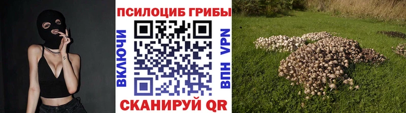 Купить закладки  Искитим  Псилоцибиновые грибы Psilocybe 