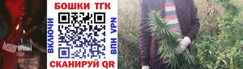 Купить  Искитим  Канабис ГИДРОПОН 
